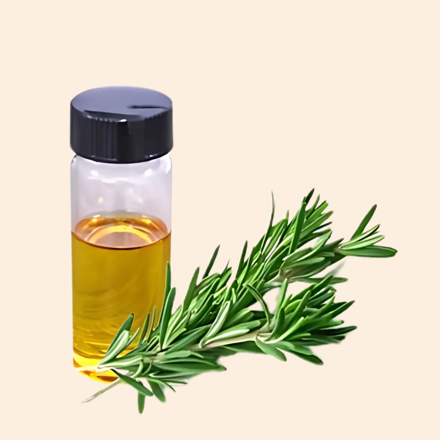 Rosemary Herbal Liquid Extract Rosemary Herbal Liquid Extract